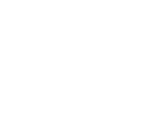 2025 Visionary Filmmaker Award